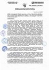 Vista preliminar de documento Resolucion Directorial N201-2023-DIRESA