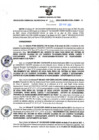 Vista preliminar de documento RGSR N 141