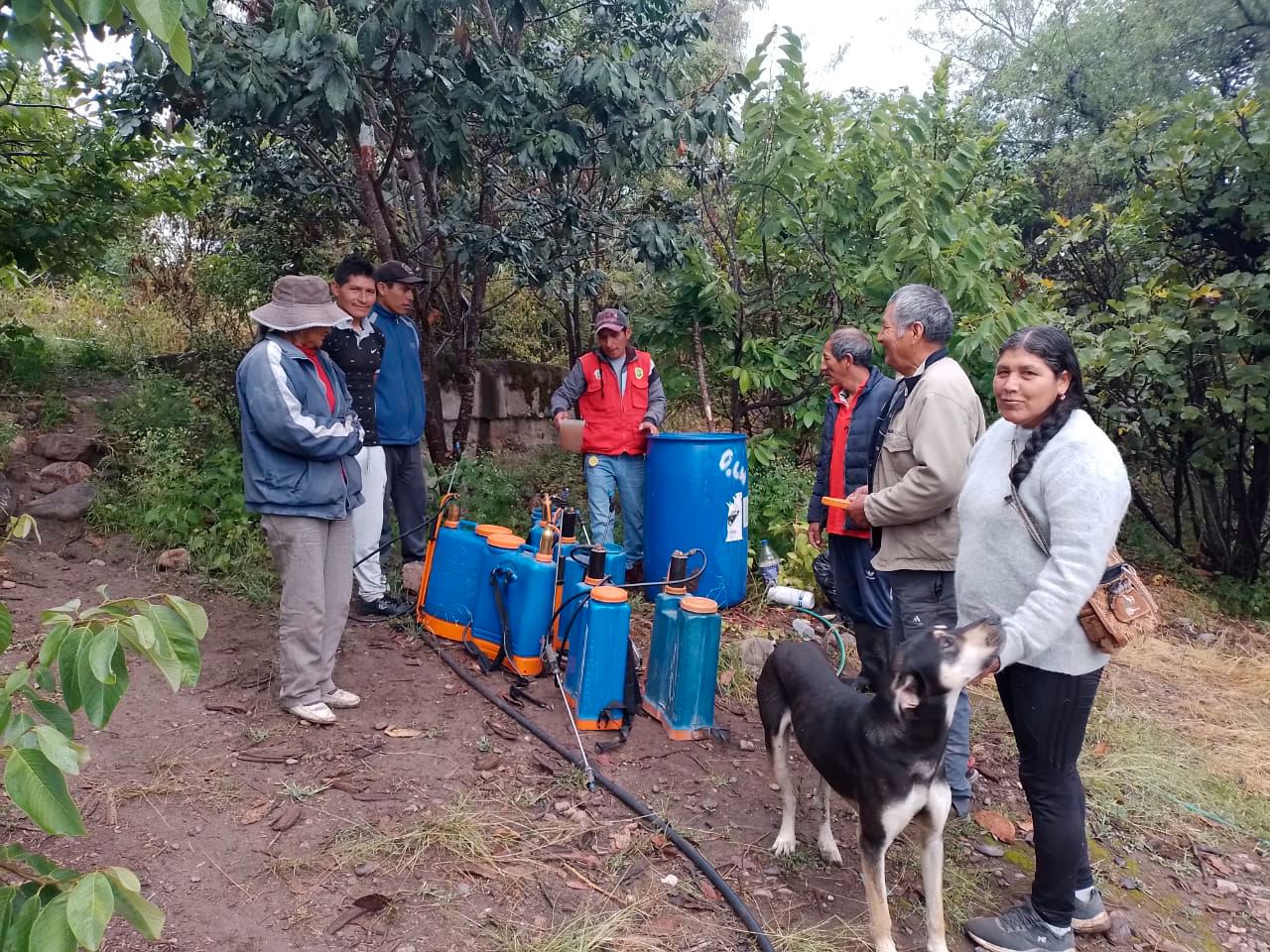 Ayacucho combate plagas en cultivos de frutas