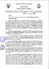 Vista preliminar de documento Resolución Gerencial General RegionalX5KLP