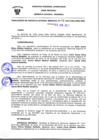 Vista preliminar de documento Resolución Gerencial General RegionalcW4q0