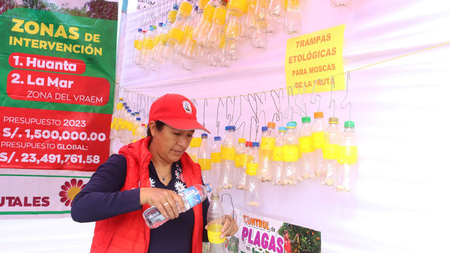 Beneficiarios y equipo técnico exponen resultados de proyectos productivos