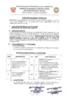 Vista preliminar de documento TDR 