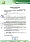 Vista preliminar de documento 81 00
