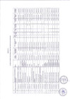 Vista preliminar de documento Anexo - Resolucion Jefatural OA N° 132-2023