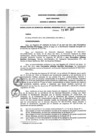Vista preliminar de documento Resolución Gerencial General RegionalN53X0