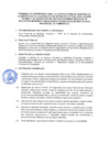 Vista preliminar de documento TDR 