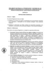 Vista preliminar de documento Reglamento