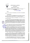 Vista preliminar de documento Resolución Gerencial General RegionalX1t53