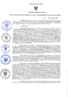 Vista preliminar de documento RES-457-2023-GRDS