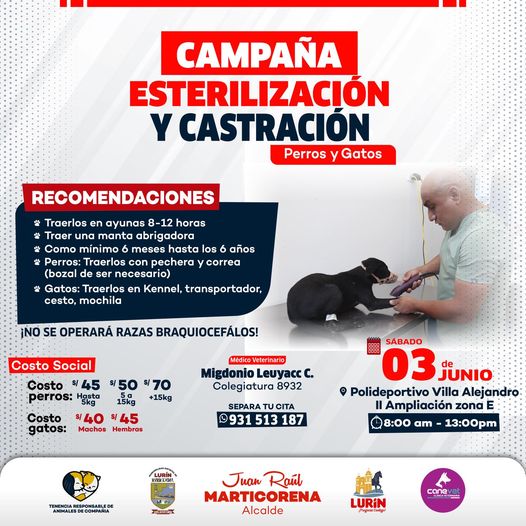 Archivo de JPG sobre una publicación del área de imagen