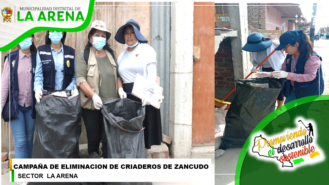 Campaña de Recojo de Criaderos de Zancudos en el Distrito de La Arena