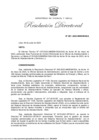 Vista preliminar de documento RD 081