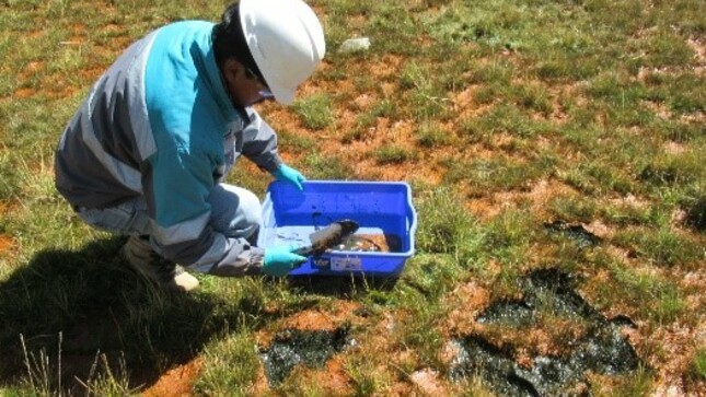 OEFA atiende emergencia ambiental ocurrida en la unidad minera Cerro de Pasco