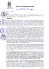 Vista preliminar de documento RA 255-2023.pdfo1E1y