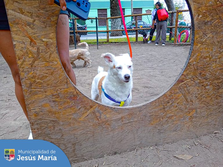 Vecinos y serenos jesusmarianos reforzaron sus conocimientos sobre educación 🐾 canina en nuestra segunda clase del taller de adiestramiento profesional 🎓🐶.
