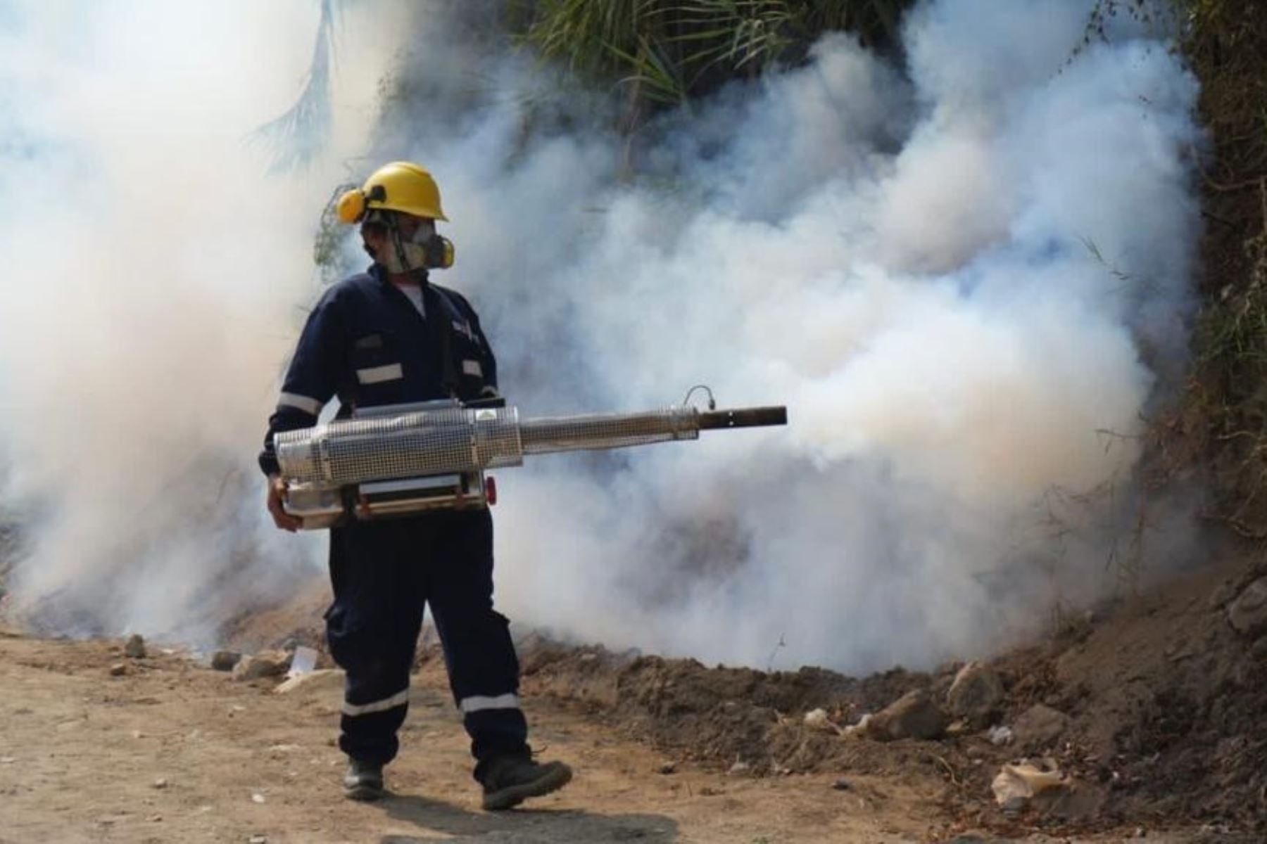 MAÑANA MARTES TODOS A FACILITAR INGRESO A VIVIENDAS DEL PERSONAL PARA FUMIGACIÓN CONTRA TEMIBLE DENGUE