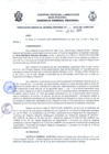 Vista preliminar de documento Resolución Gerencial General RegionalSgg85