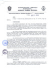 Vista preliminar de documento Resolución Gerencial General RegionalvqFVG
