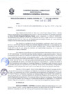 Vista preliminar de documento Resolución Gerencial General RegionalYsUhs