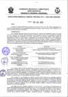 Vista preliminar de documento Resolución Gerencial General RegionalHDVot