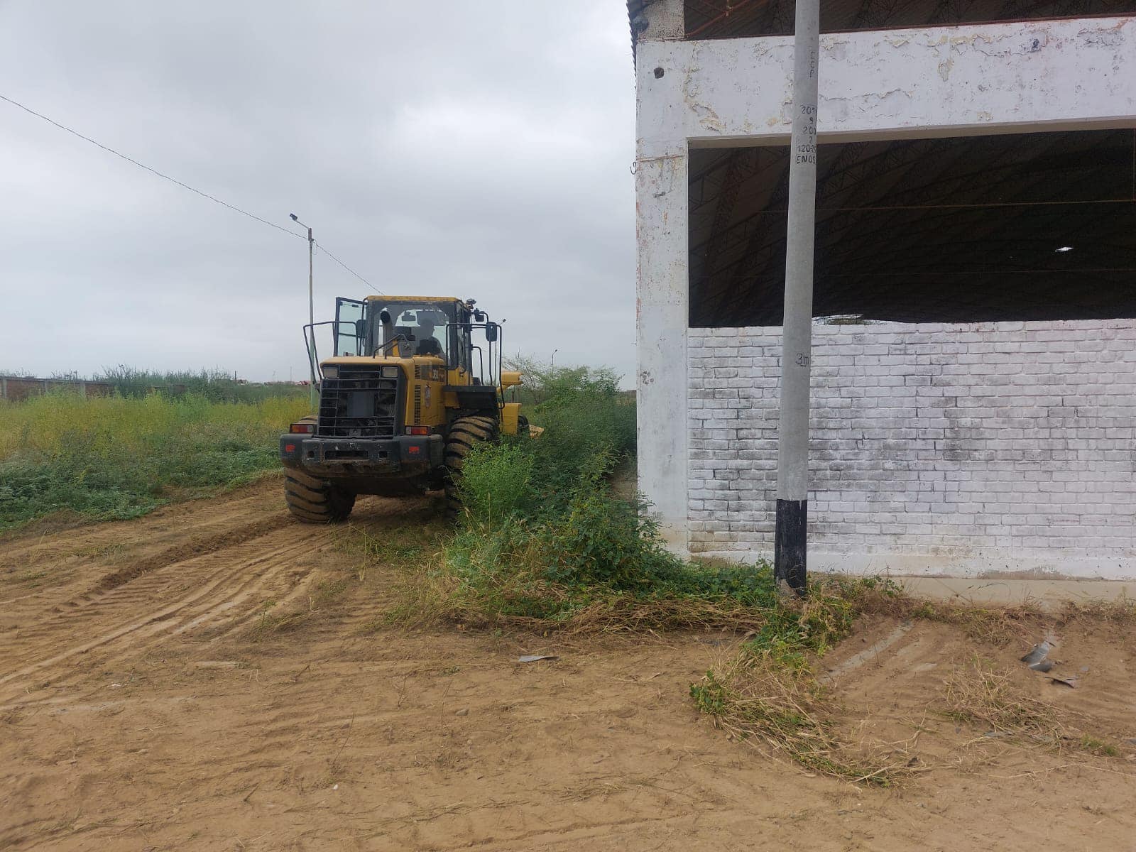 HABILITAN INSTALACIONES DEL EX CAMPO FERIAL PARA CENTRO DE OPERACIONES DE FUMIGACIÓN