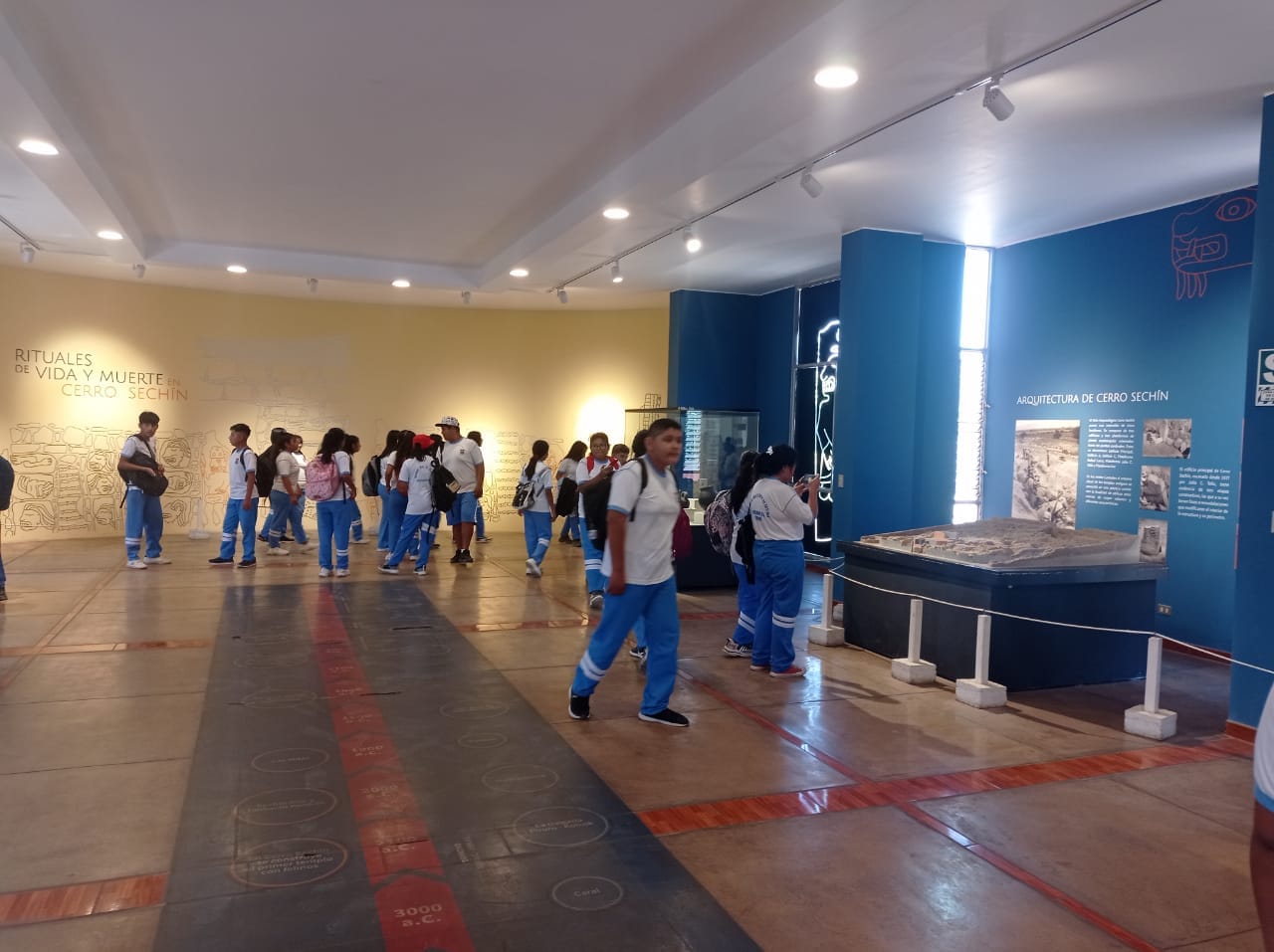 MUSEOS