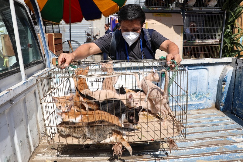Fue clausurado un local ubicado en Sinchi Roca 1149 donde se retiraron las mascotas que ofrecían a la venta en pésimas condiciones.