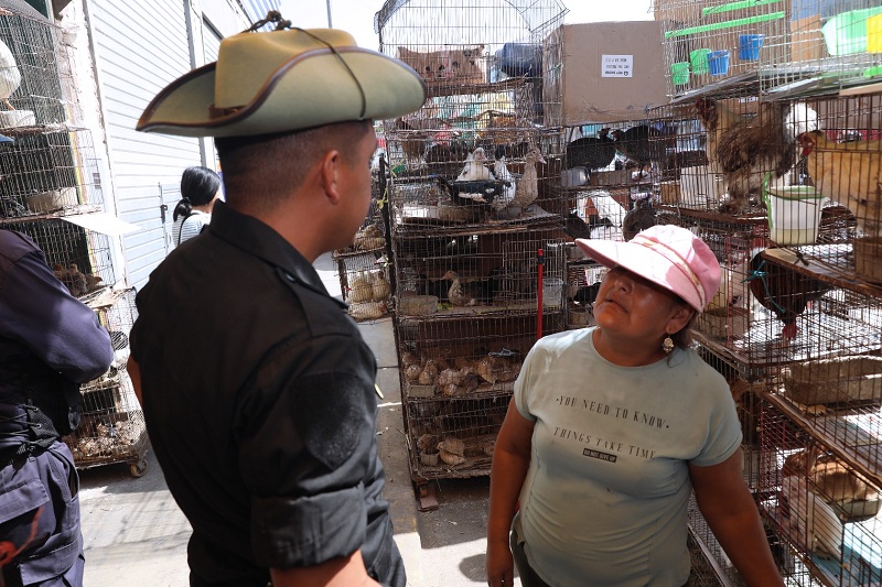 En este local ofertaban todo tipo de animales, hasta aves exóticas cuya venta está prohibida.