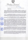 Vista preliminar de documento RDR-440_2010