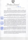 Vista preliminar de documento RDR-452_2010