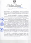 Vista preliminar de documento RDR-455_2010
