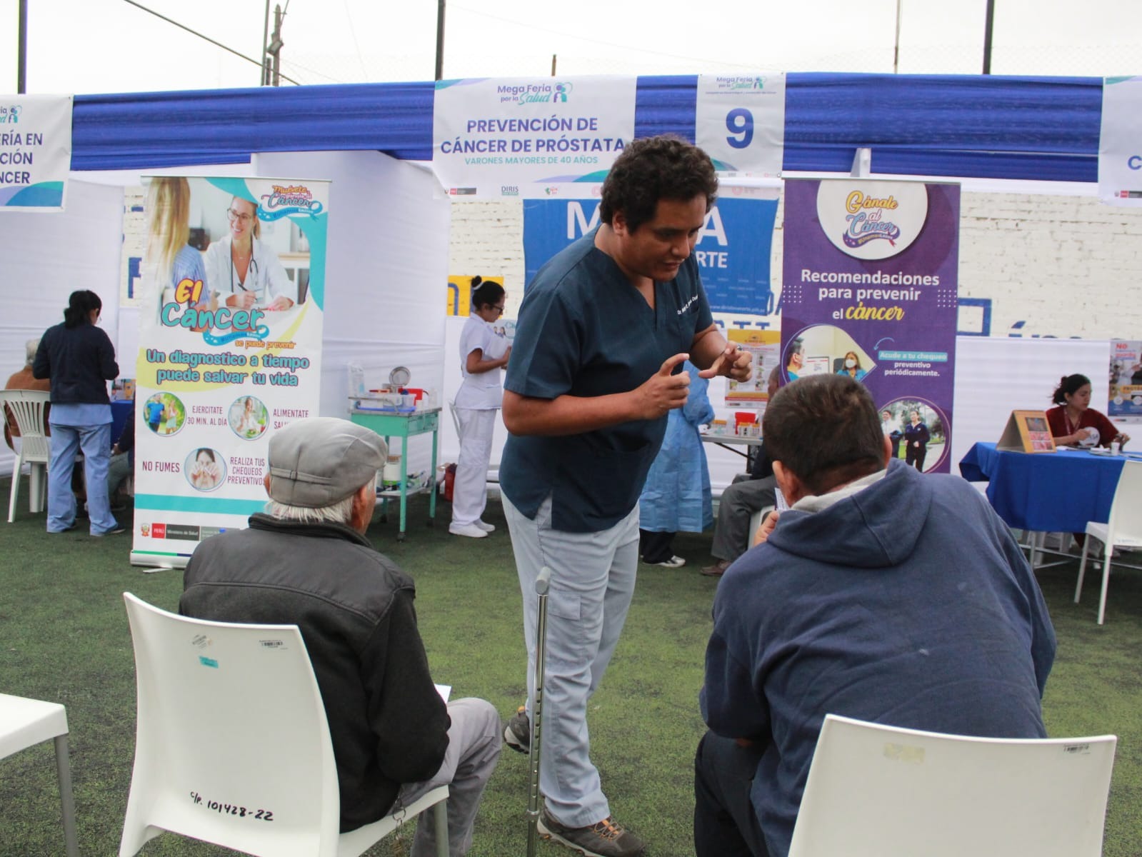 Megaferia - 1