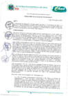 Vista preliminar de documento Resolucion de AlcaldíaD7aOc