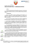 Vista preliminar de documento RD Nº D000080-2023-DE