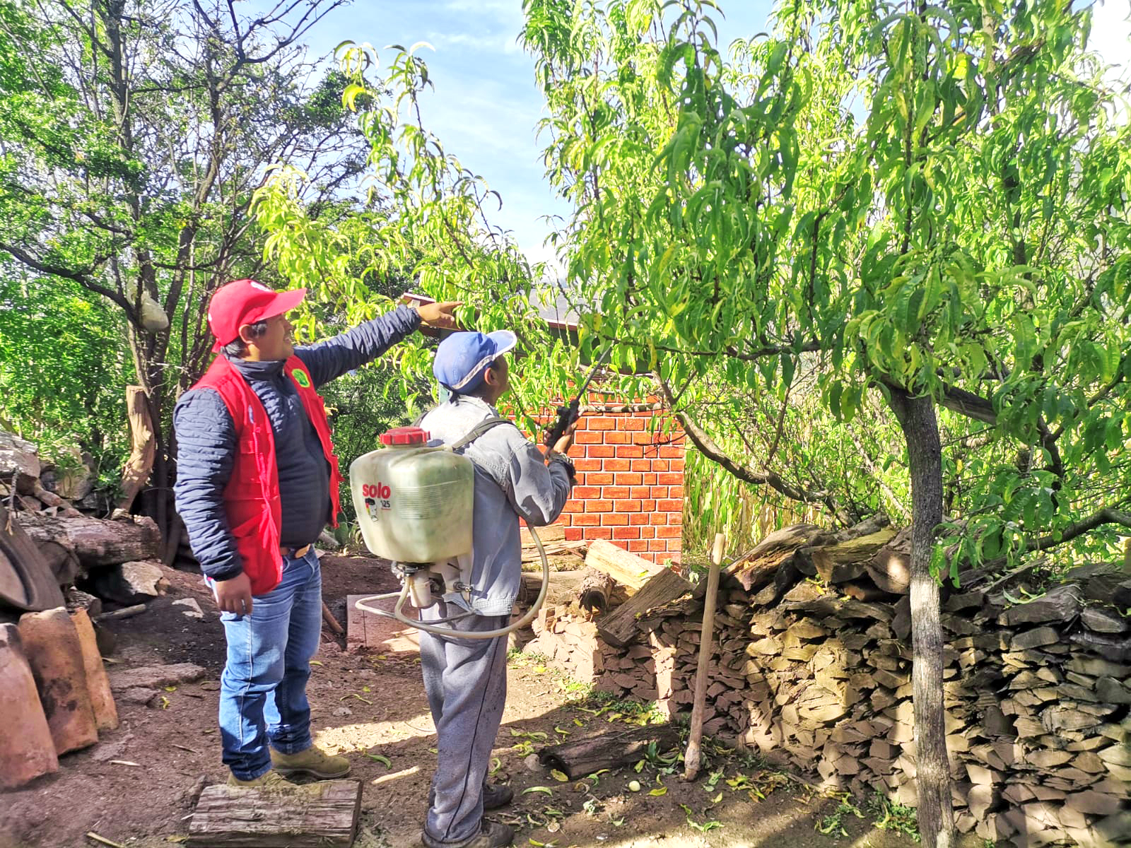 DRA Ayacucho distribuyó 1 020 litros de cebo tóxico a 245 productores frutícolas de La Mar