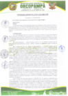 Vista preliminar de documento Ordenanza Municipal