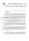 Vista preliminar de documento rer-204-2023-gore-ica-gr