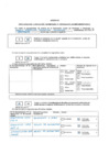 Vista preliminar de documento DJ complementaria