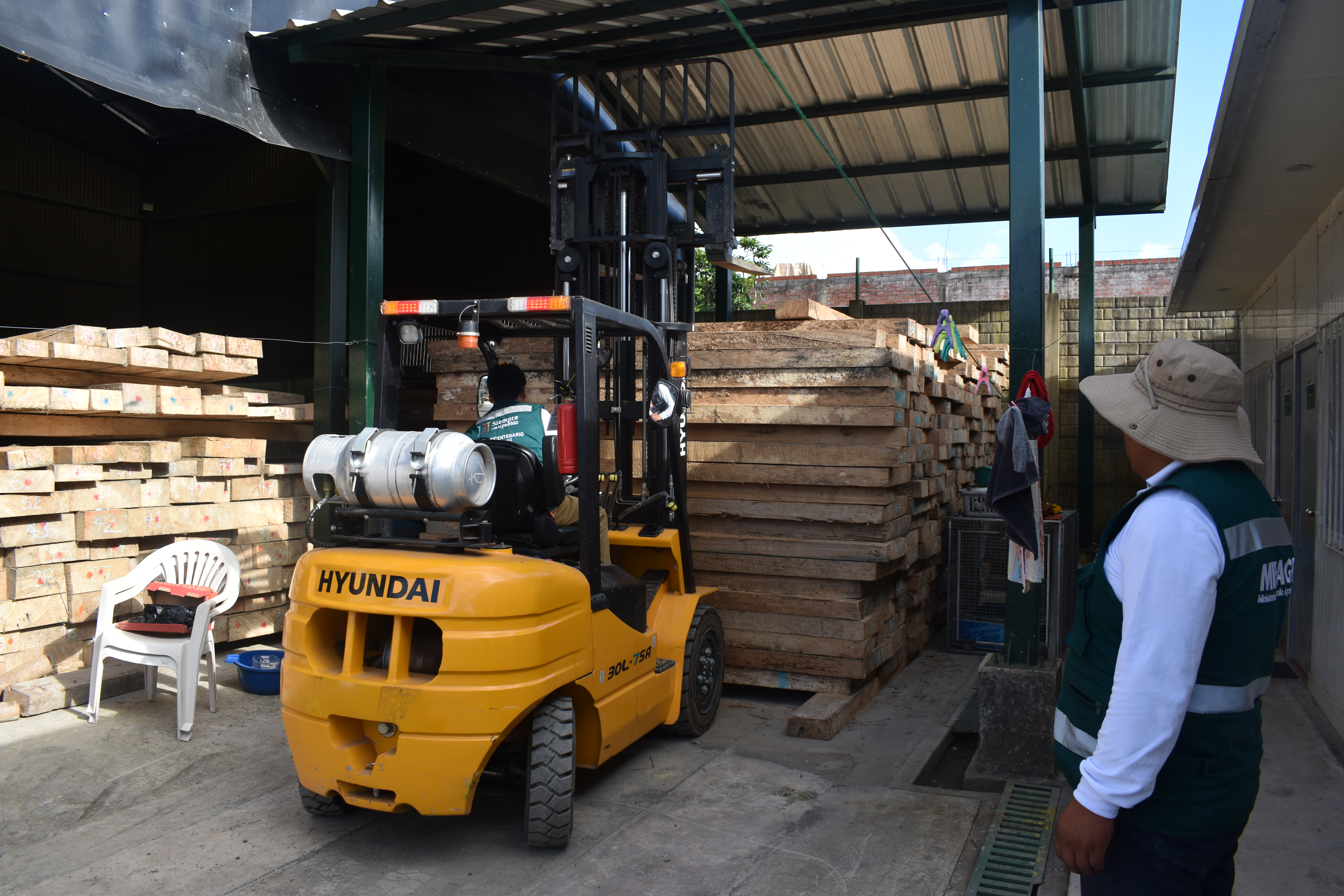 Puno: SERFOR incauta más de 16 mil pies tablares de madera 