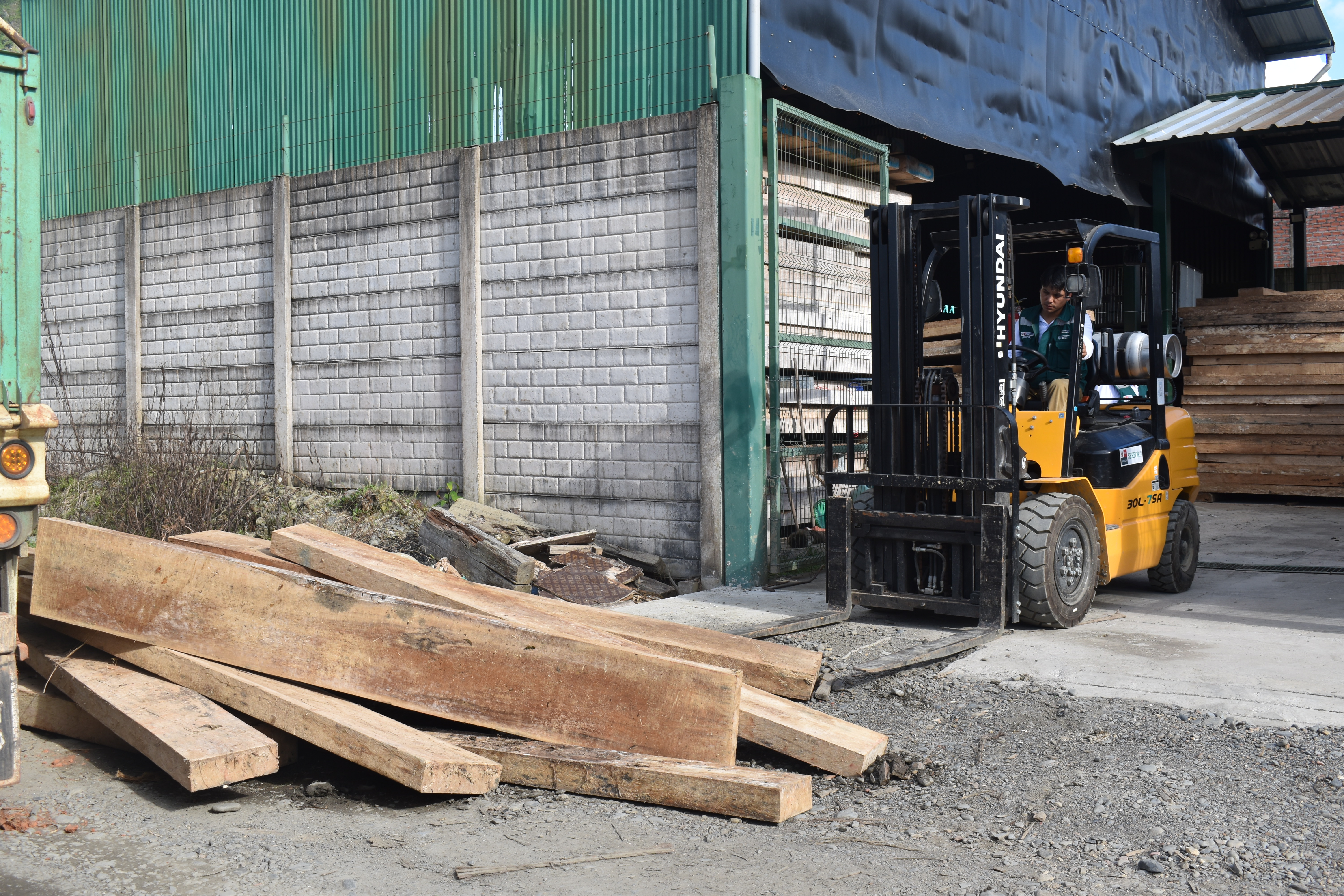 Puno: SERFOR incauta más de 16 mil pies tablares de madera 
