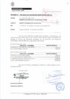 Vista preliminar de documento informe 195