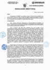 Vista preliminar de documento Resolucion Directorial N197-2023-DIRESA