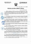Vista preliminar de documento Resolucion Directorial N224-2023-DIRESA