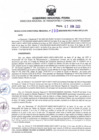 Vista preliminar de documento RDR N° 0290-2023-07-06-2023