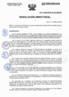 Vista preliminar de documento Resolucion Directorial N226-2023-DIRESA