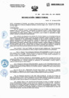 Vista preliminar de documento Resolucion Directorial N228-2023-DIRESA