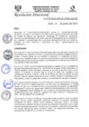 Vista preliminar de documento R.D.N°272-2023-HGJ-DE