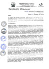 Vista preliminar de documento R.D.N°255-2023-HGJ-DE