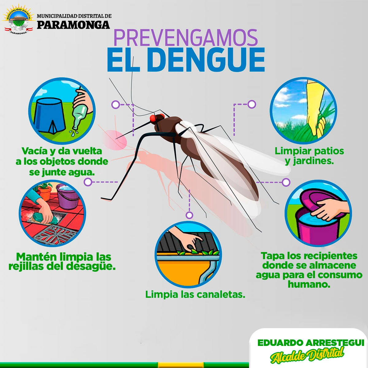 imagen1